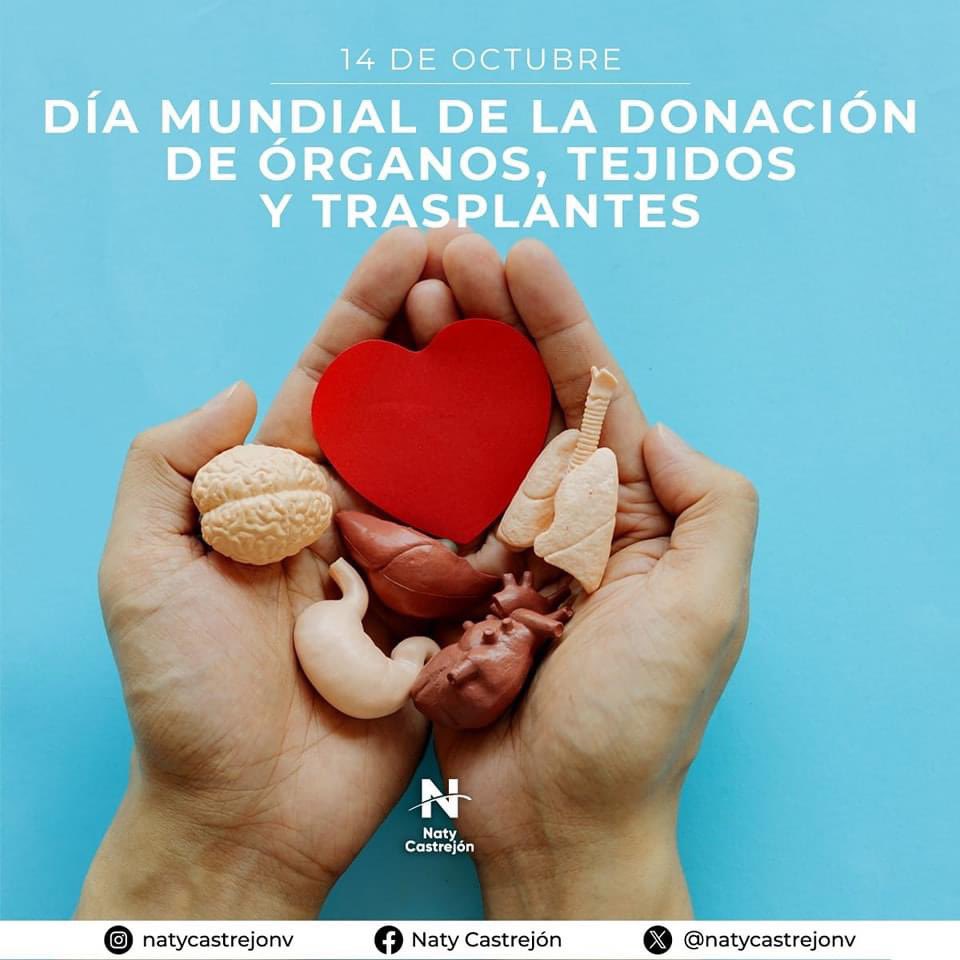natycastrejonv's tweet photo. En el Día Mundial de la Donación de Órganos, Tejidos y Trasplantes, recordamos el poder de la generosidad y la esperanza. La donación de órganos puede transformar vidas y brindar una segunda oportunidad a quienes lo necesitan. Hoy hacemos un llamado a la solidaridad y a la conciencia sobre la importancia de registrarse como donantes.

#PrimeroLaEducación #NatyCastrejón