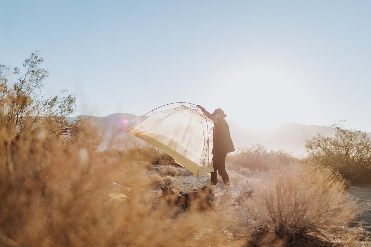 Rebelle Rally tweet media