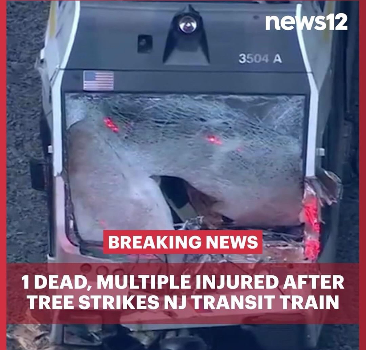 ChrisKeatingNJ's tweet photo. Operator of the River Line died when a tree hit the lead car.
NJ Transit confirms several passengers suffered minor injuries.
Light rail was headed from Trenton to the Roebling station.
The River Line runs between Camden and Trenton.
@news12nj @njtransit #riverline https://t.co/nNj27tqV4q