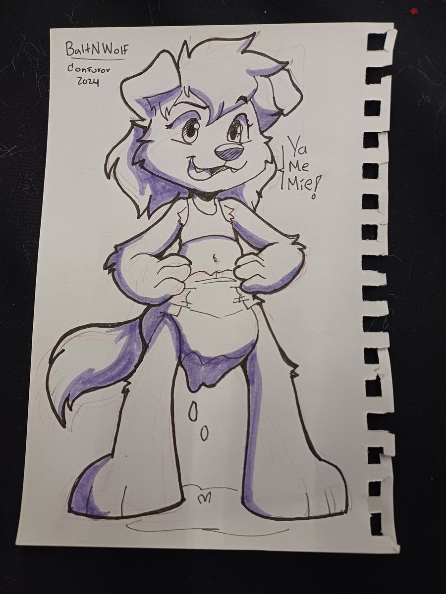 SleepyCause's tweet photo. TY SO MUCH @BaltNWolf https://t.co/DhJXKVdV9T