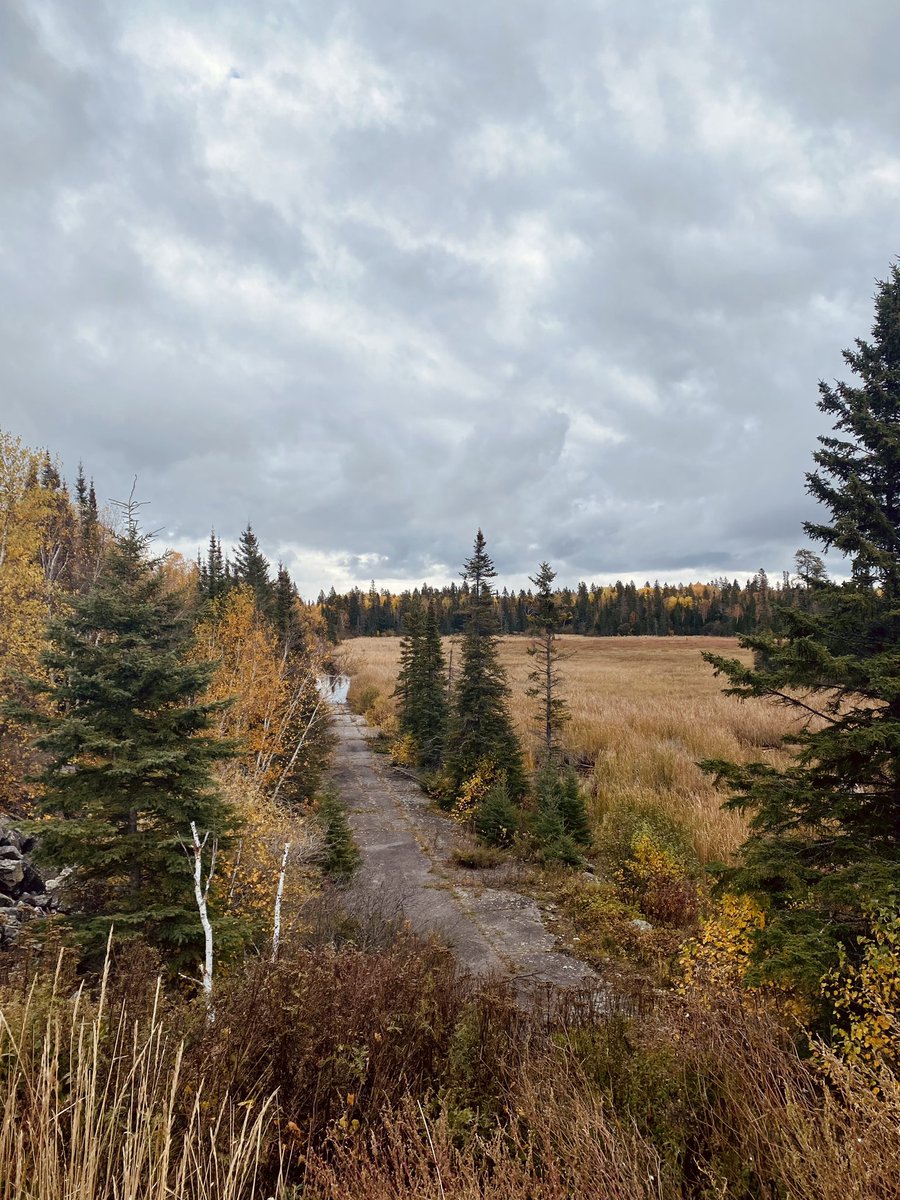 zachcantrad's tweet photo. Abandoned stretch of the original Trans Canada Highway. https://t.co/lfUbrDqwvv
