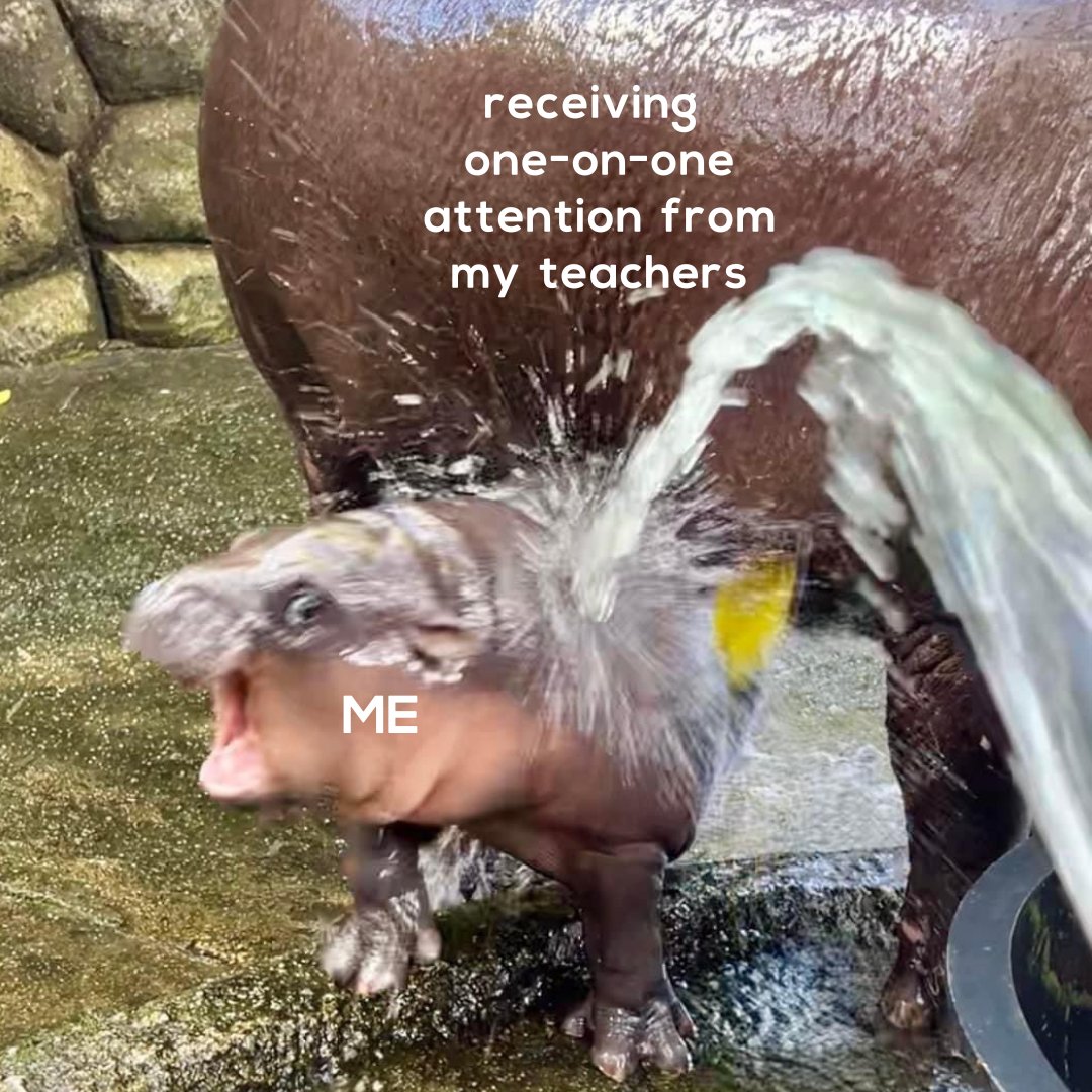 FlexMichigan's tweet photo. Sometimes, all you need is a little one-on-one attention. We've got your back. 💙 ❤️ 💛 
.
.
.
#FlexHighSchool  #FlexibleSchedule #OneOnOneAttention #MooDeng #Meme https://t.co/FYBgsbHC6h