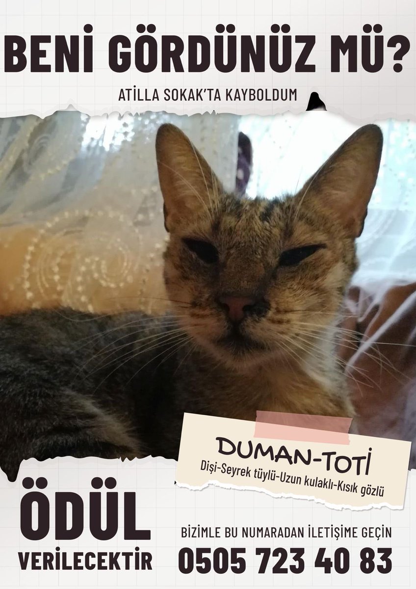 Kedimiz Duman, Bayrampaşa Yıldırım Mahallesi, Atilla Sokak’ta kayboldu. Dişi, tekir, tüyleri biraz seyrek. DUMİ ya da TOTİ ismine tepki verir. 

Görenler 0553 365 26 54 - 0505 723 40 83 numaralarından bizimle iletişime geçerse çok mutlu oluruz.