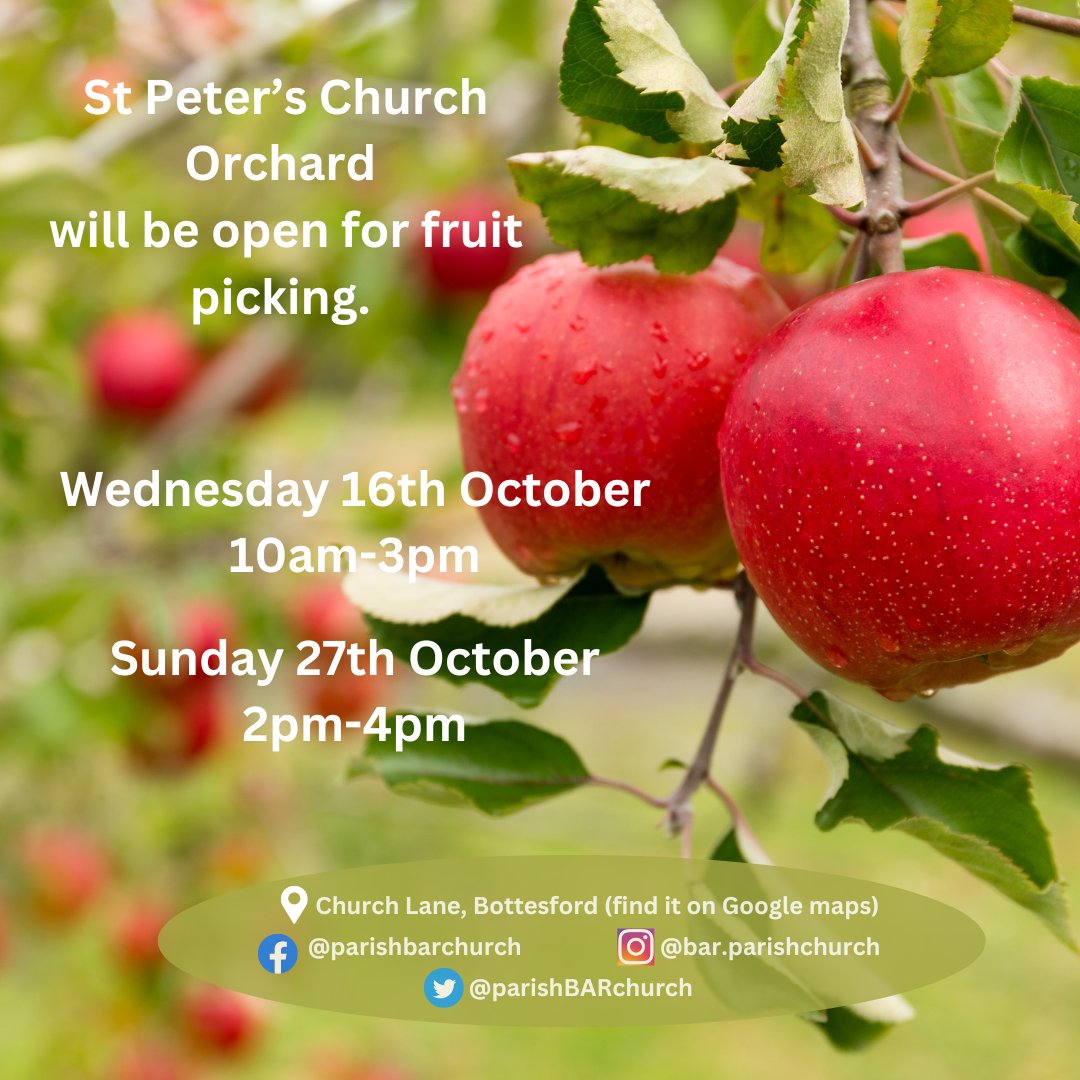 Come &amp;pick the last of the apples! The parish apple picker will be in the church porch on Wed. Pls return it when you've finished. On Sun 27th, it will be with me in the orchard. Pls put any extra apples in the boxes placed in the porch for others unable to pick their own. Ta x
