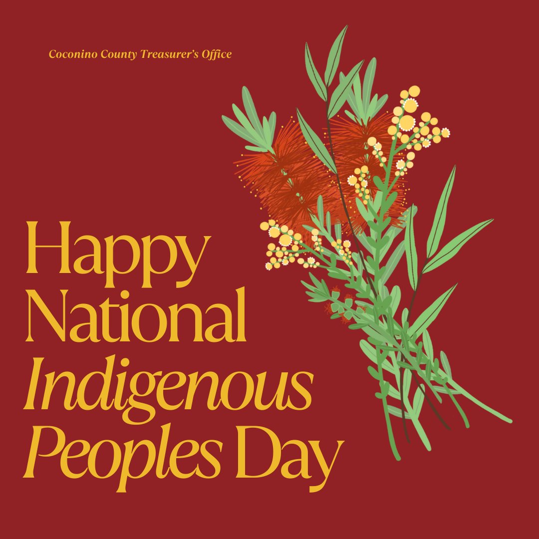 CoCoTreasury's tweet image. Happy National Indigenous Peoples Day. On this day, we honor the rich cultures of the Indigenous peoples. We are proud to serve and honor our community.