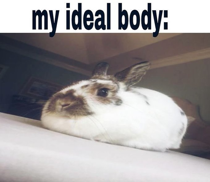 Yamii-Bee 🐝 ✨Magical Bee Vtuber✨ tweet media