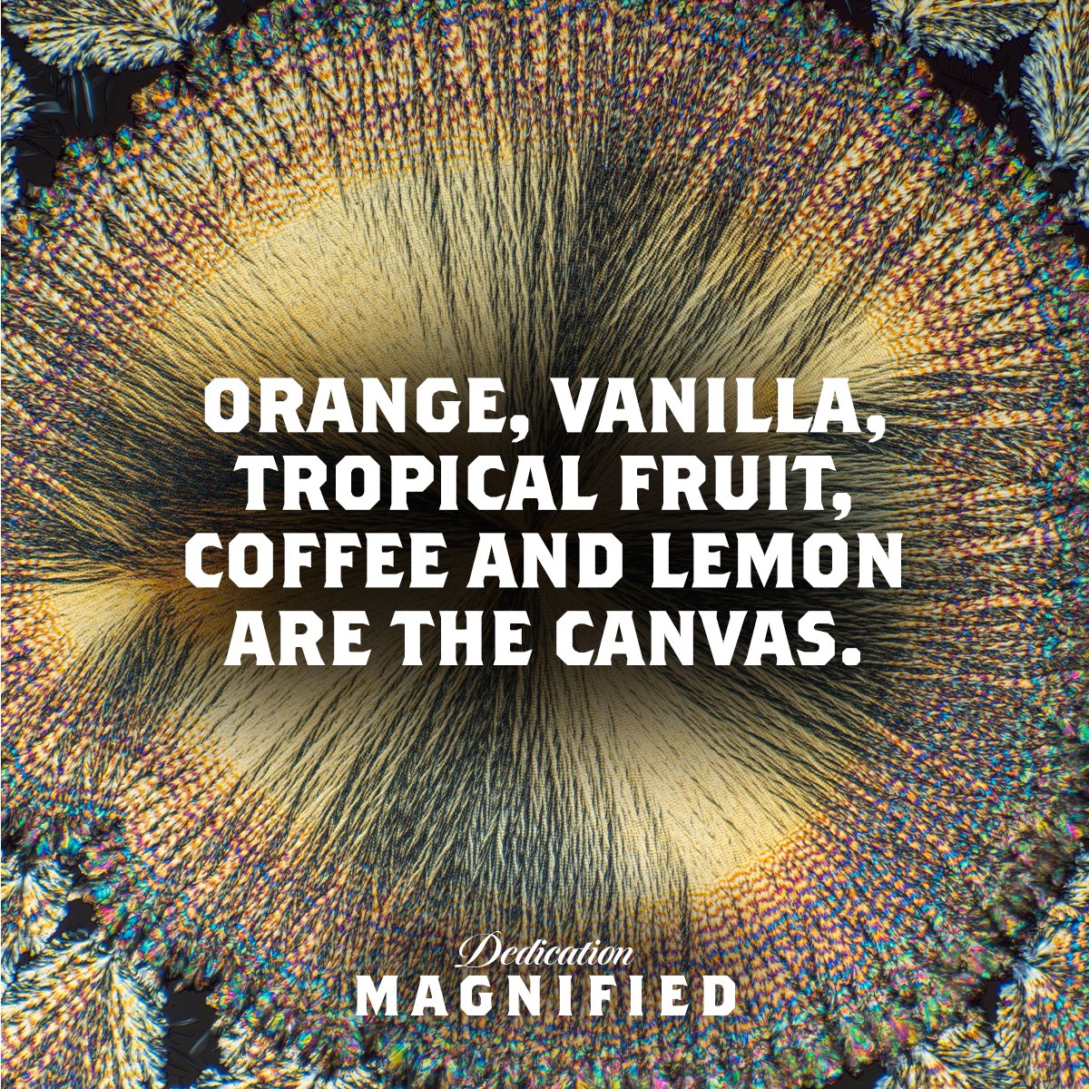 This is Tamdhu 46 Year Old, 46 times magnified.​​

To capture these breathtaking images, Peter crystalised our whisky with natural extracts inspired by the tasting notes. He then magnified this remarkable whisky 46 times.​ Take a closer look at Tamdhu.com​​
#Tamdhu46