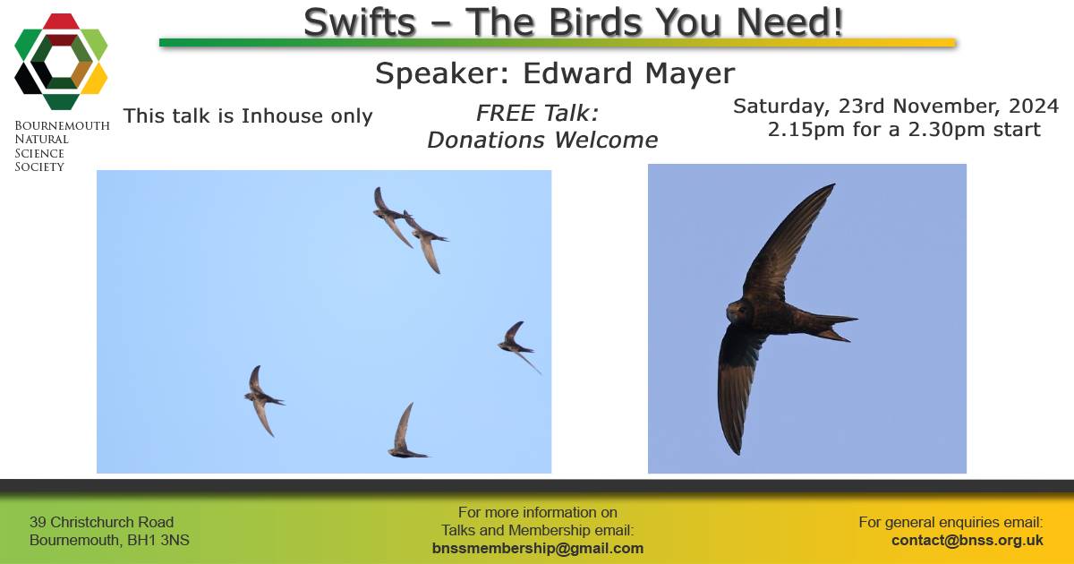 Bournemouth Natural Science Society & Museum (@bnss1) on Twitter photo 