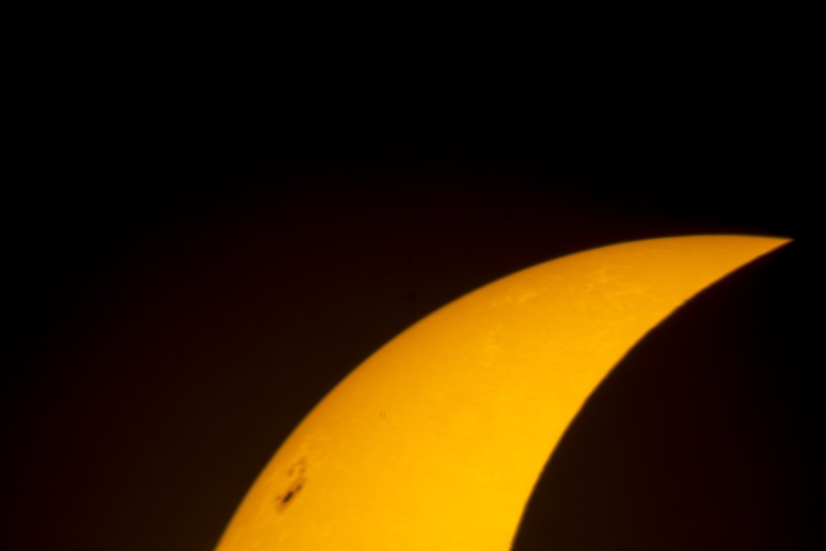 epperezc's tweet image. #eclipse2024 desde #padrelascasas #temuco #chile #cielosESA , celestron , canon 🌔🔭📷☕️🖥️🇨🇱🐶