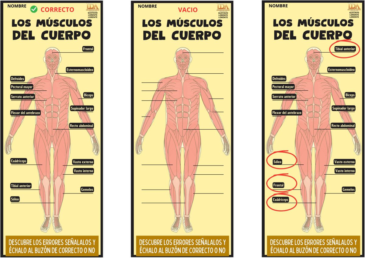 gustavolorente1's tweet photo. NO PIERDAS LA CABEZA. Juego de encontrar los errores (Huesos y músculos) desde la idea 💡de posters de @bottlebol 🔝Descubrir, señalar, correr y echar al buzón y +Se puede dejar modelo comprobación. #edufis #familiaedufis #physed #claustrovirtual ➡️todos los modelos seguir y MD https://t.co/tl9PMPFXUU