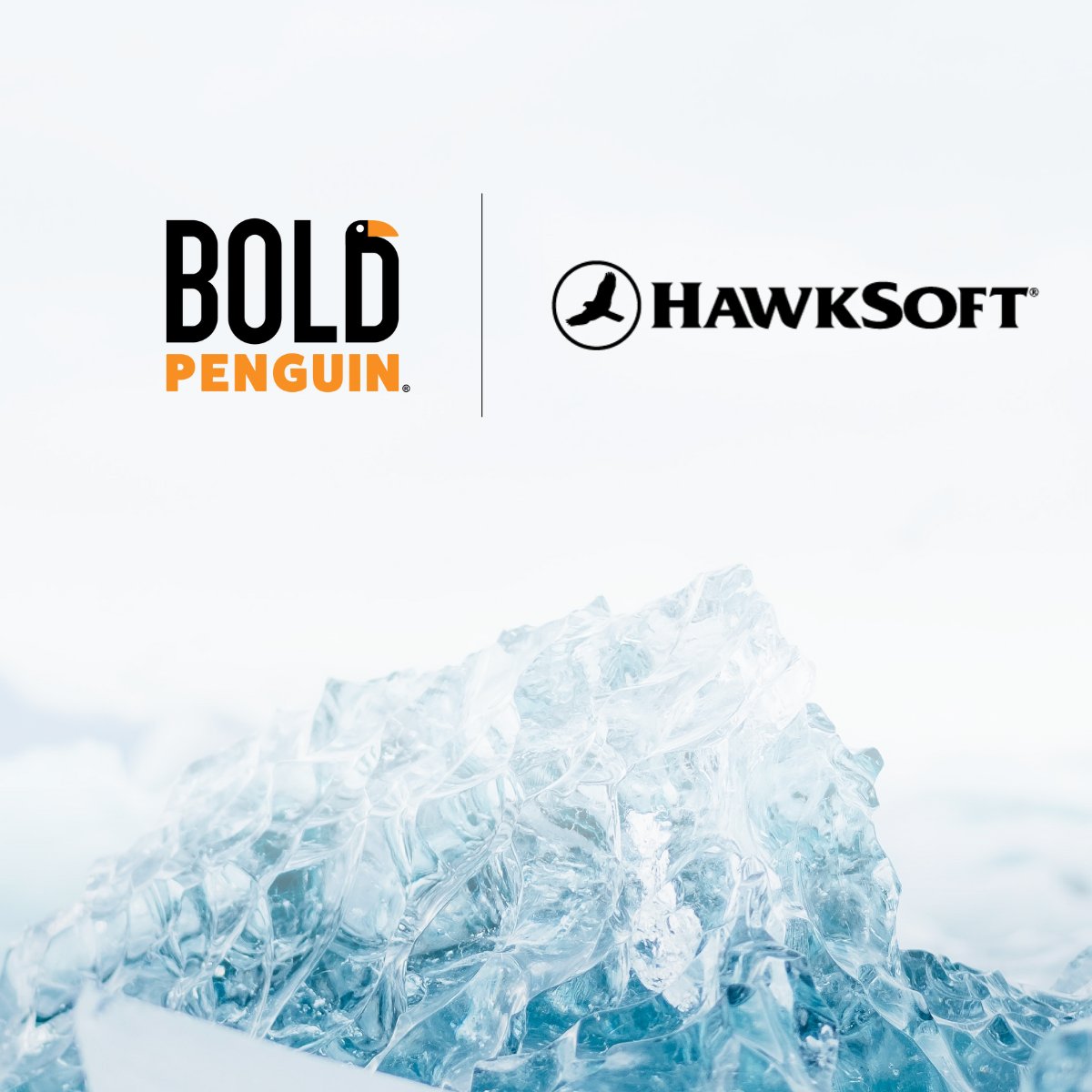 bold_penguin's tweet photo. The Bold Penguin + @HawkSoft integration is here to streamline your Terminal quoting process. π https://t.co/3kXt0YuOdD https://t.co/tkCGqLTVLQ