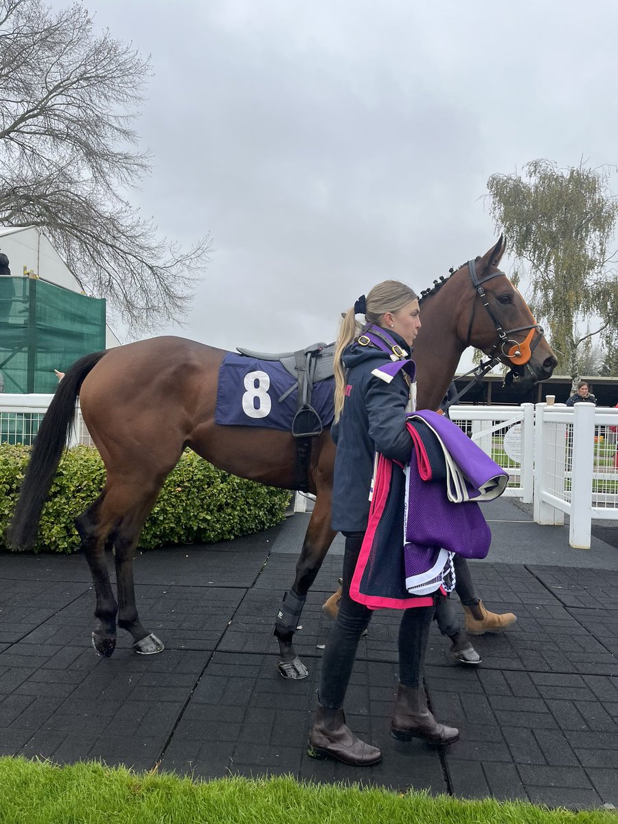 PaddyBrennan81's tweet photo. LELOOPA WINS 🏆 @HerefordRaces under a brilliant ride from @JohnnyBurke2 for the Paddy Brennan Racing Syndicate. Absolutely thrilled for everyone involved 🥂🏆🥇 https://t.co/Xg9GWsPMMk