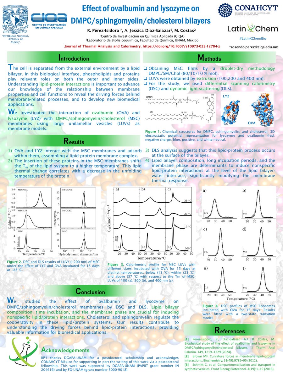 Keysialma24's tweet photo. Hi @LatinXChem24, presenting my work 'Effect of ovalbumin and lysozyme on DMPC/sphingomyelin/cholesterol bilayers' at #LatinXChem24 #LatinXChemBio #Bio25 #membranes #proteins #calorimetry https://t.co/ycQ2NfdWht