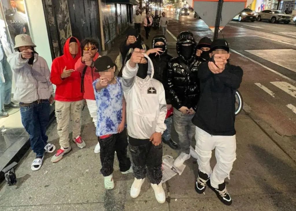 NEW: NYPD is reporting that a group of nearly 2 dozen Tren de Aragua members called “Little Devils of 42nd Street”, with some members as young as 11, are targeting people with gunpoint heists.

They are allegedly operating out of a taxpayer-funded shelter.

Welcome to Kamala’s