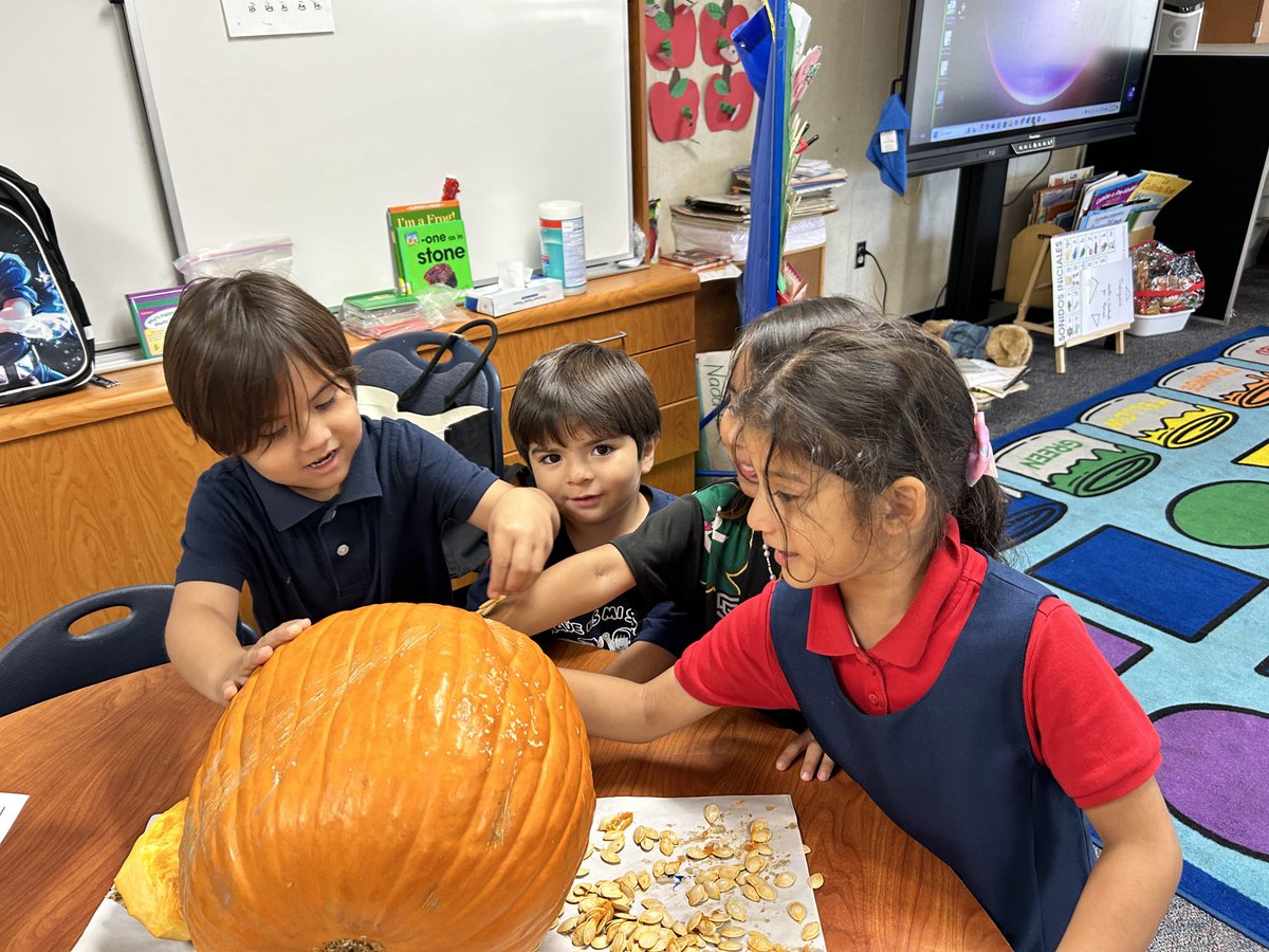melrules61's tweet image. It’s a great day in TK! We are observing pumpkins and naming the parts of a pumpkin! #scienceisfun