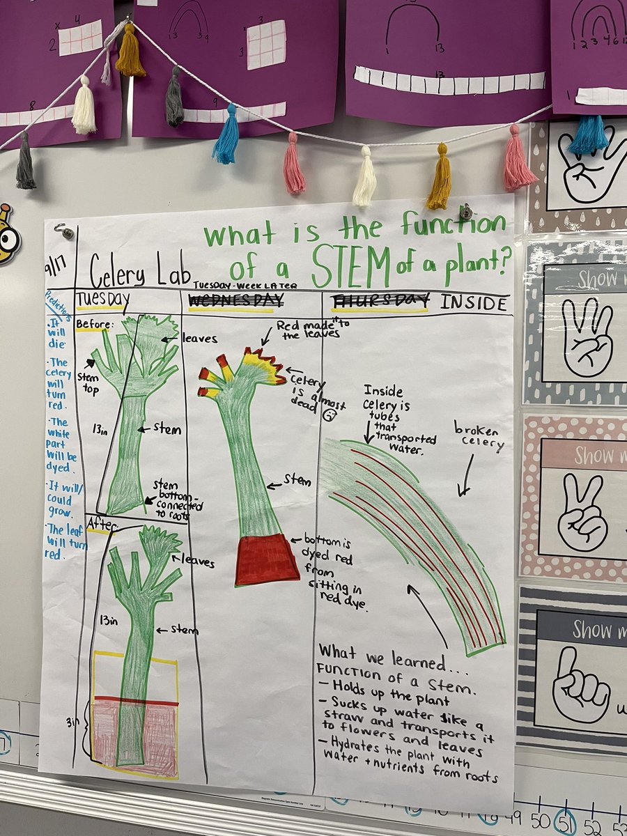 Always love visiting the scientists in <a href="/Mrs_Schrader4/">Theresa Schrader</a> class !! She always has such high levels of engagement, excitement and high expectations!! 💜🥼