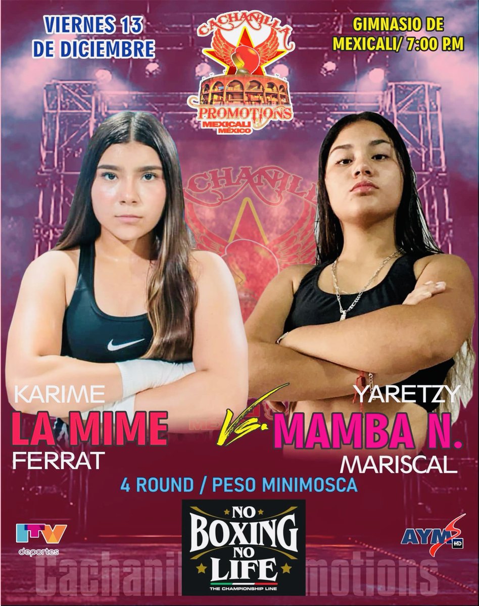 KARIME FERRATT BOXEADORA tweet media