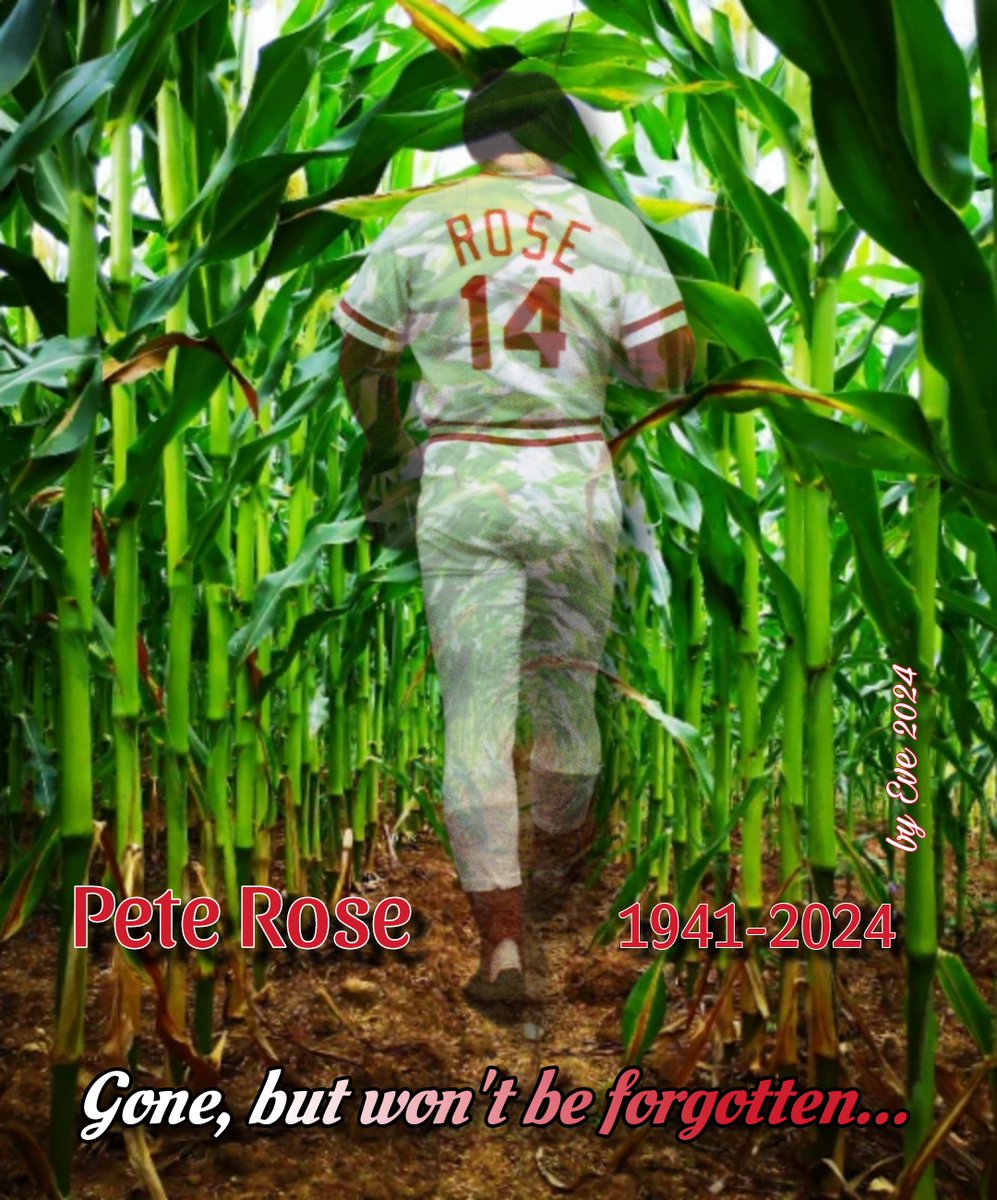 vonnquiller0328's tweet image. 