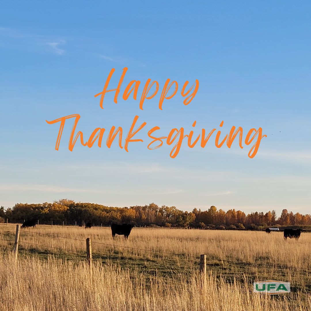 UFA Co-operative tweet media