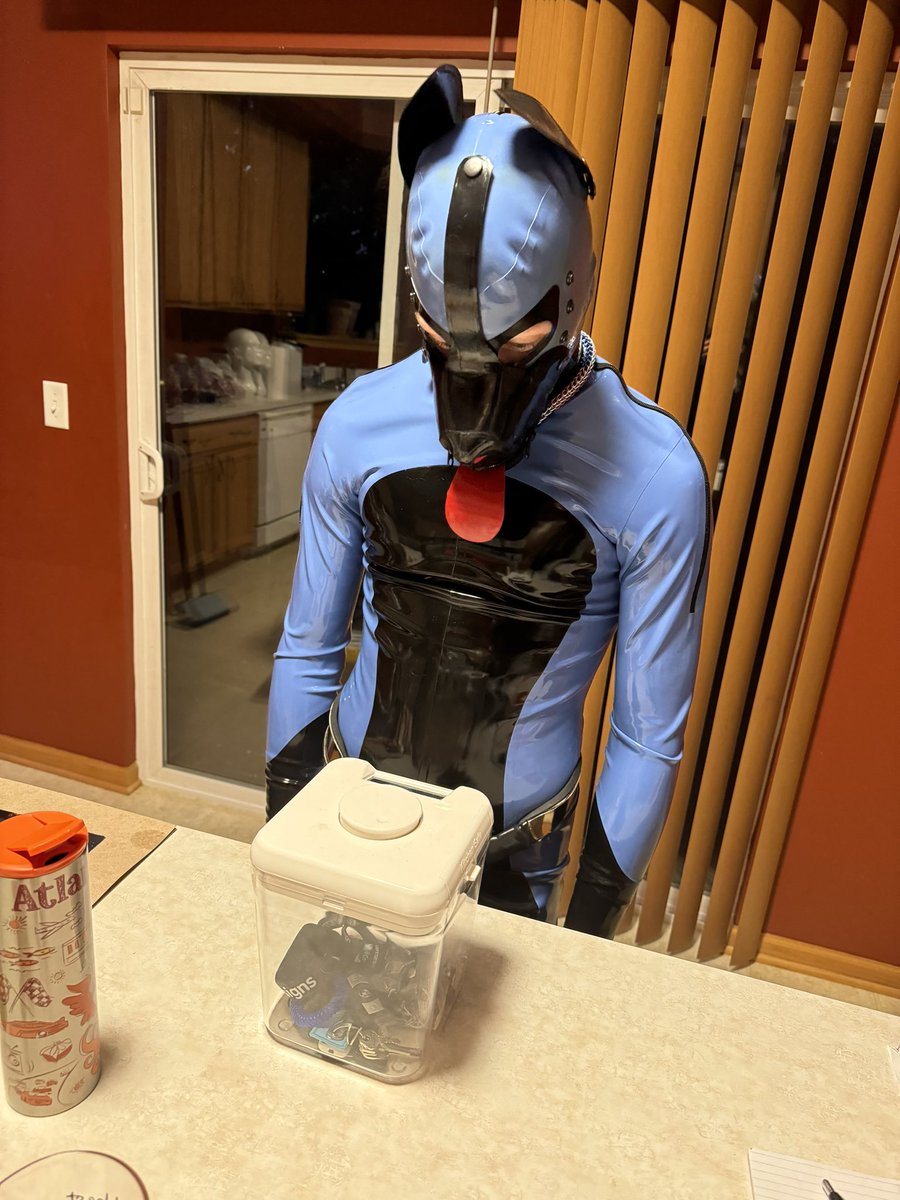 Pup Aero tweet media