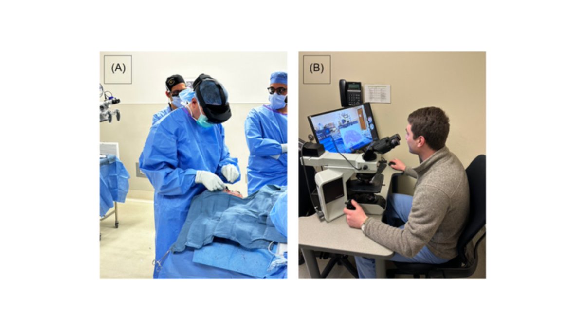 VUMC Otolaryngology–Head and Neck Surgery (@vanderbiltent) on Twitter photo Study shows #AugmentedReality tech allows pathologists to join surgeons in the OR remotely for frozen section analysis, improving communication & outcomes—turning positive margins into negative. #Surgery #Pathology <a href="/marina_aweeda/">Marina Aweeda</a> <a href="/mitra_mehrad/">Mitra Mehrad</a> <a href="/TopfHNS/">Michael Topf MD, MSCI</a> …-hnsfjournals.onlinelibrary.wiley.com/doi/10.1002/ot… Study shows #AugmentedReality tech allows pathologists to join surgeons in the OR remotely for frozen section analysis, improving communication & outcomes—turning positive margins into negative. #Surgery #Pathology <a href="/marina_aweeda/">Marina Aweeda</a> <a href="/mitra_mehrad/">Mitra Mehrad</a> <a href="/TopfHNS/">Michael Topf MD, MSCI</a> …-hnsfjournals.onlinelibrary.wiley.com/doi/10.1002/ot…