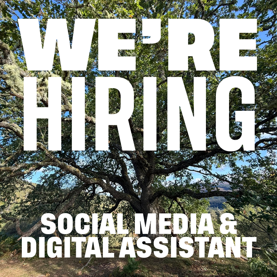Could you be our new Social Media and Digital Assistant?

Find out more and apply: rewildingbritain.org.uk/about-us/who-w…

Image: James Jeffries / Rewilding Britain

#hiring #commsjobs #rewildingjobs #socialmediajobs