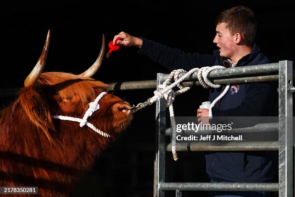 Getty Images News tweet media