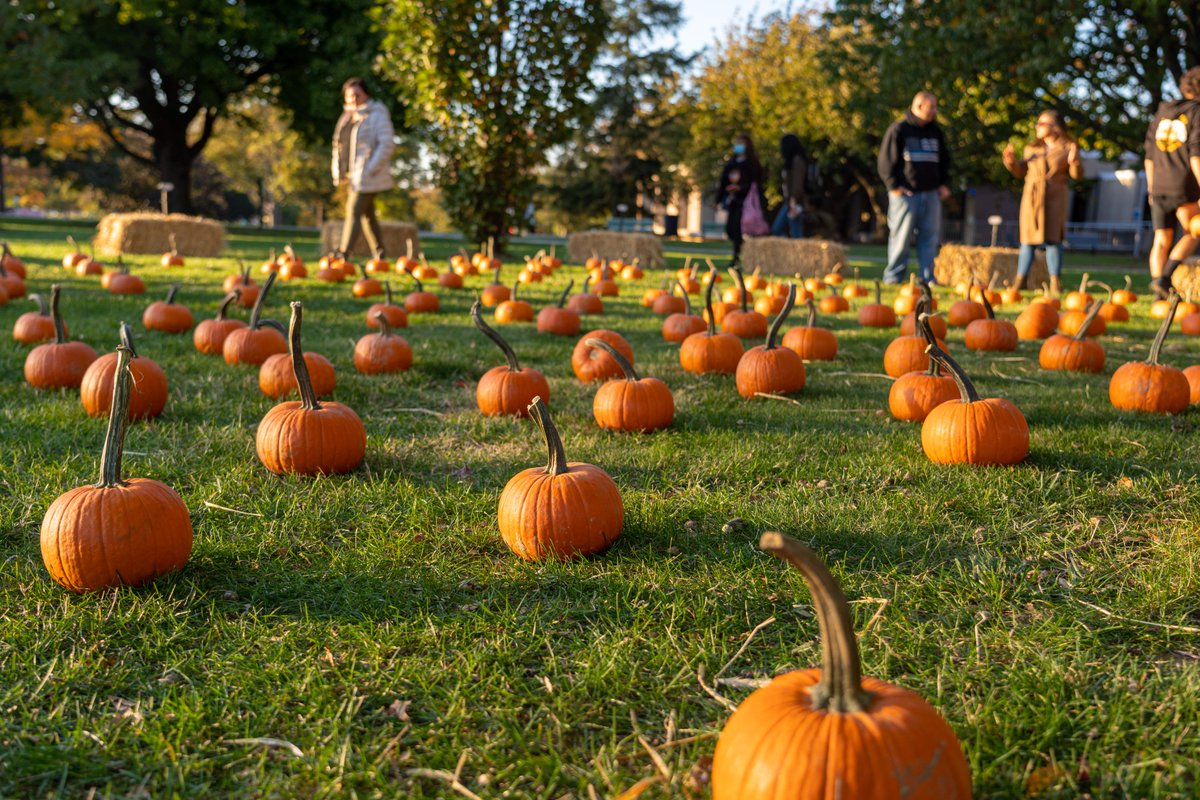 Bolt's favorite Fall activity: pumpkin picking! Pick your own pumpkin at HarvestFest on October 17! 🎃 RSVP today: bit.ly/3PL6bbb