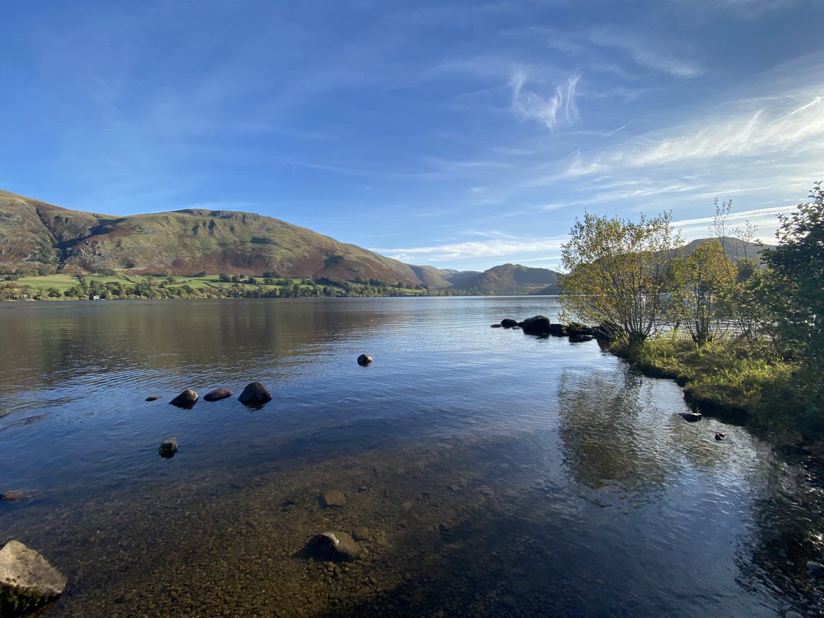 Sabine Brumm tweet media