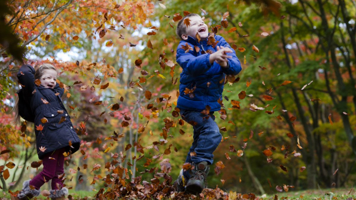 National Trust Cymru tweet media