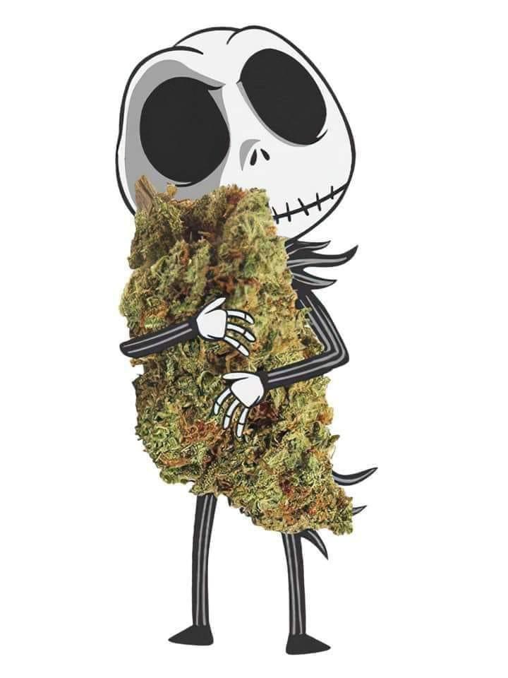 CannabisAngelxo's tweet photo. 🖤🤍 https://t.co/447P6mfpSp