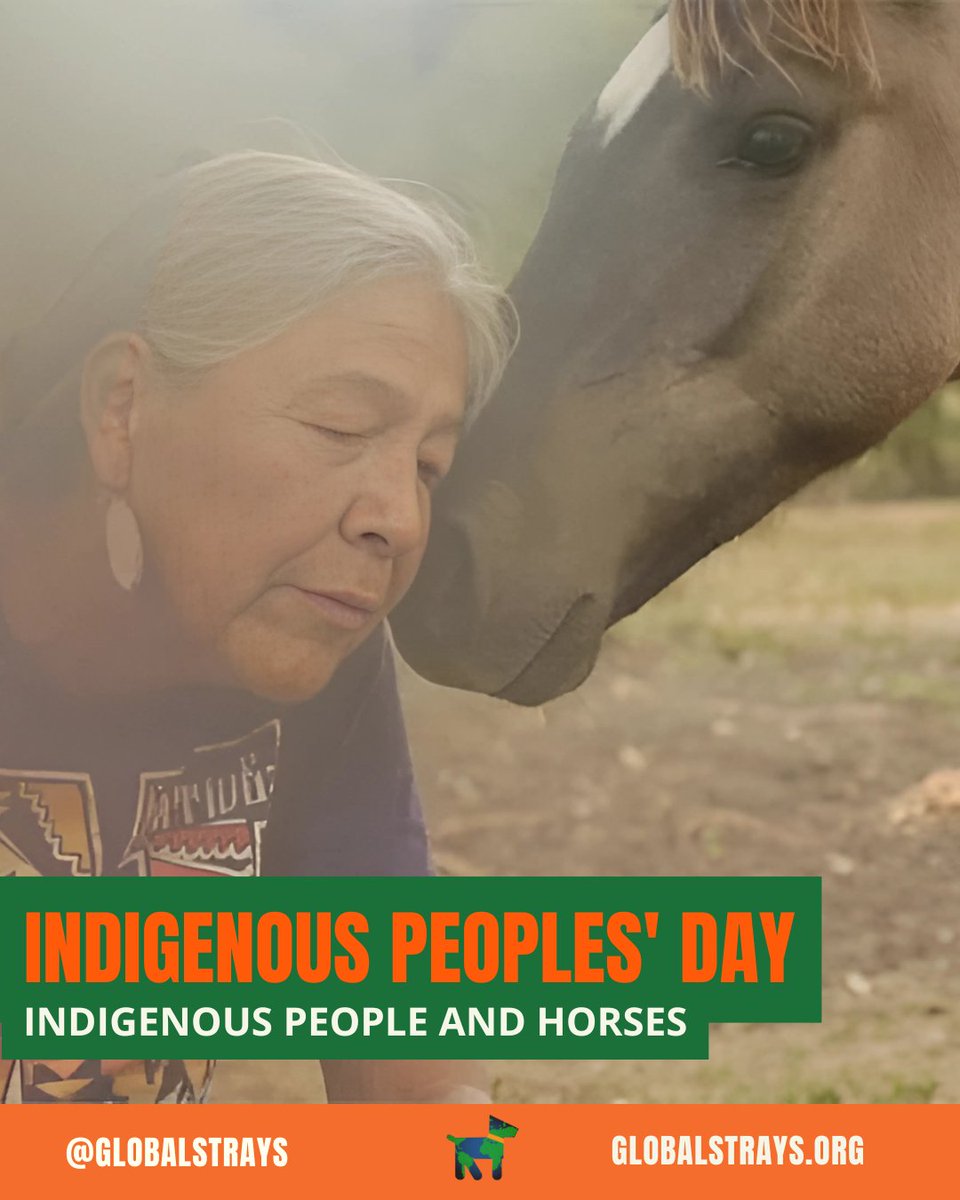 GlobalStrays's tweet image. On Indigenous Peoples’ Day, we're honoring the rich heritage and the powerful connection between Indigenous peoples and their horses. 🐎 Read this post to learn more 💙

#IndigenousPeoplesDay #GlobalStrays #AnimalWelfare #NativeHorses