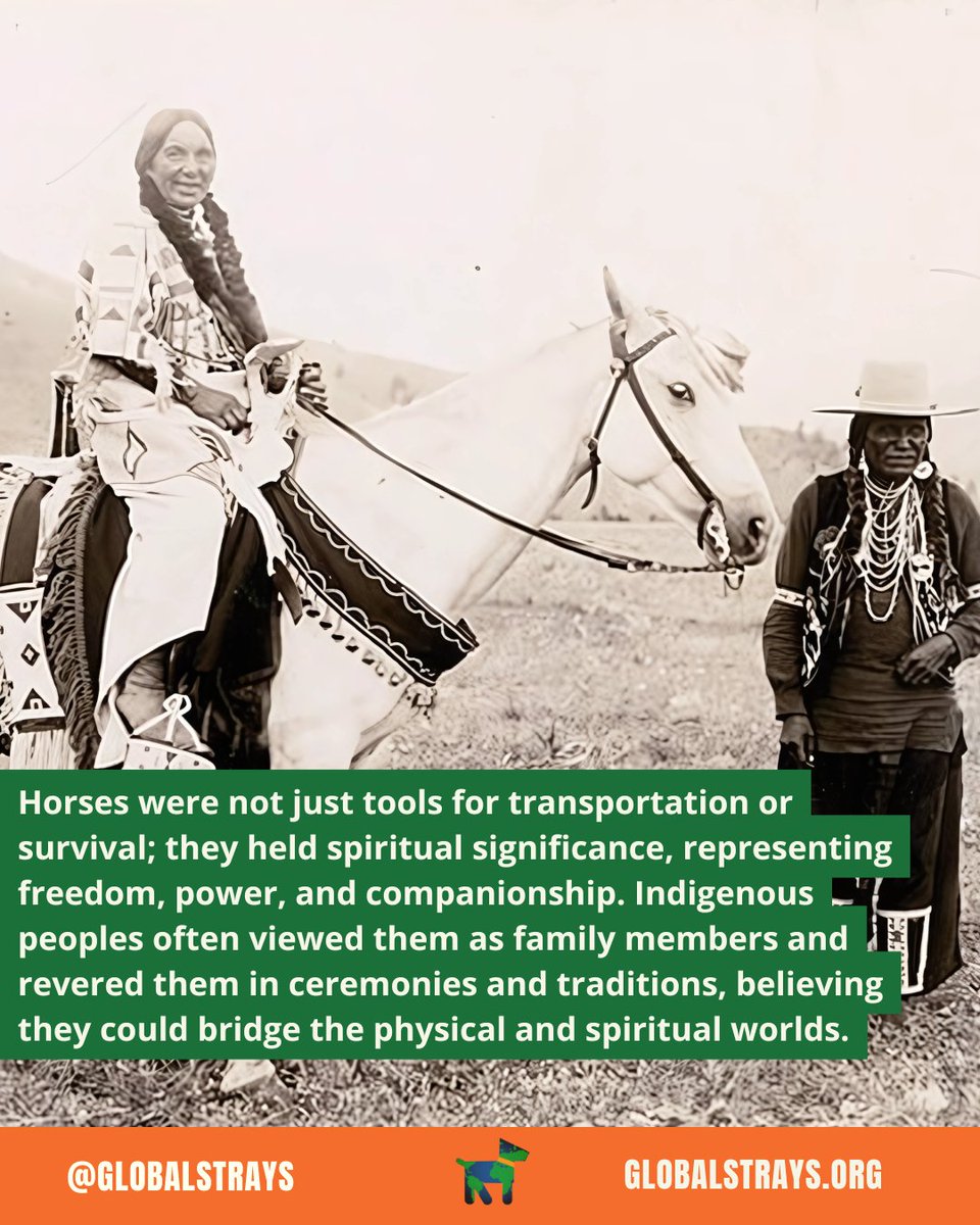 GlobalStrays's tweet image. On Indigenous Peoples’ Day, we're honoring the rich heritage and the powerful connection between Indigenous peoples and their horses. 🐎 Read this post to learn more 💙

#IndigenousPeoplesDay #GlobalStrays #AnimalWelfare #NativeHorses