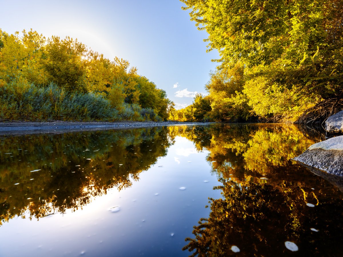 Anyone else soaking up every last bit of fall lately? 🍂🍁 #OpenSpacesCreateOpenMinds

📍: Riverbend Natural Area

📸: @davechophotography