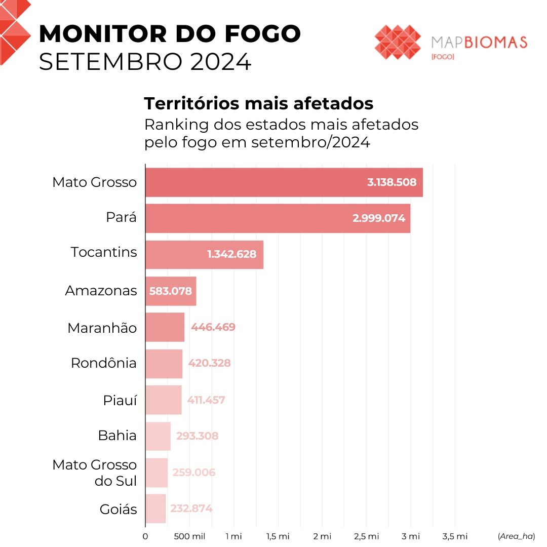 MapBiomas tweet media