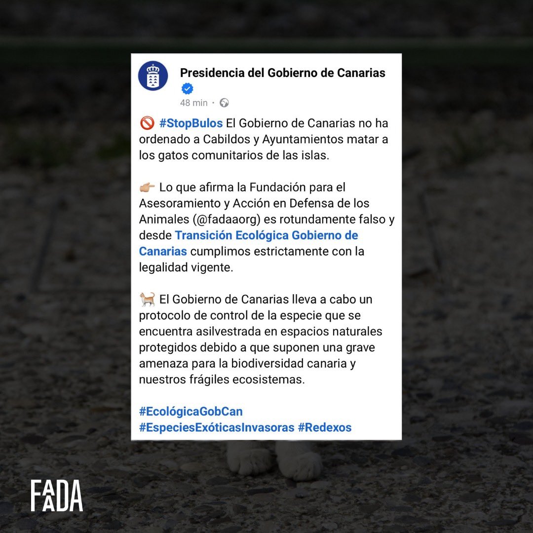 Montsssse tweet media