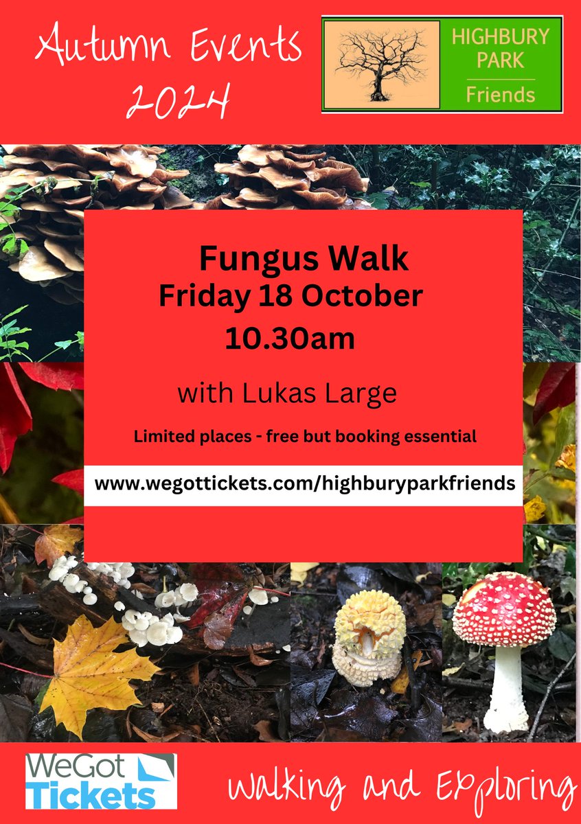 🍄Our next event is a fungi walk on Fri 18 Oct, 10.30am. Free to attend but please book ahead, places are limited due to popularity! Find out more and book on: bit.ly/4et0WXL Non-members welcome. Why not become Highbury Park Friends Member? Pick a form up at the event 🍄