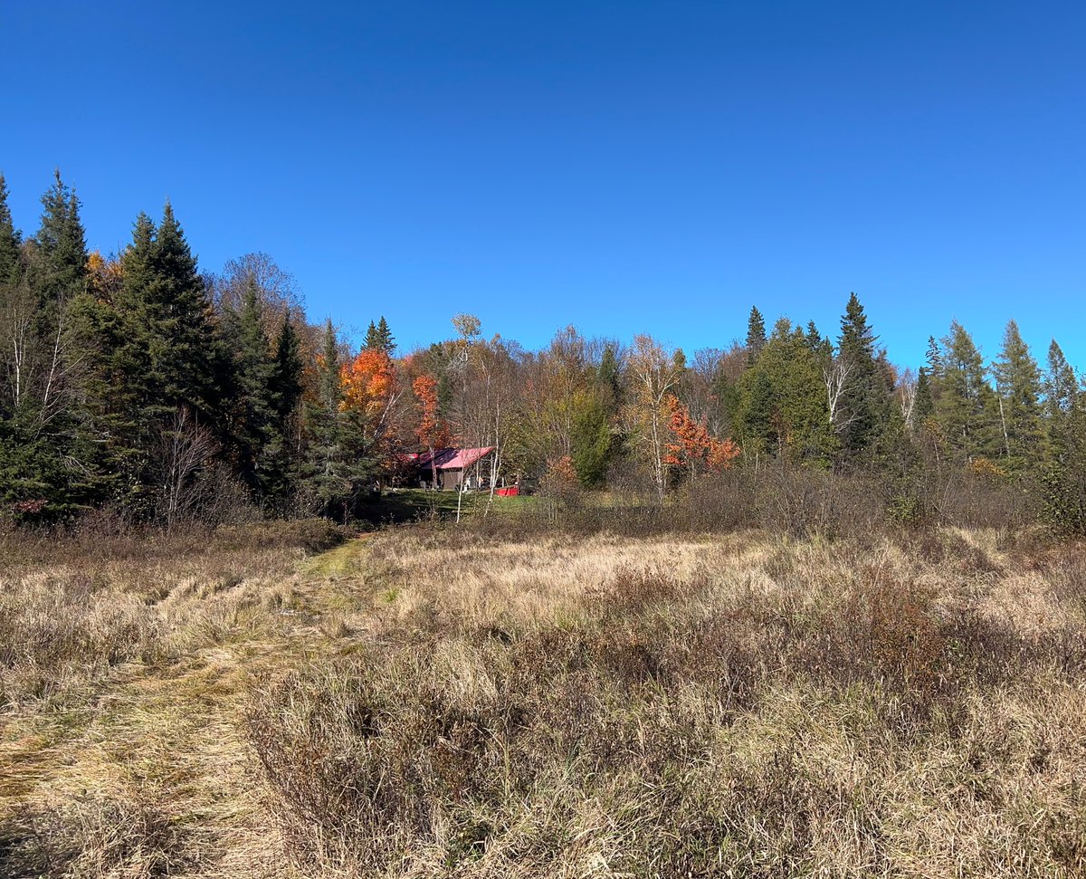 Beautiful Thanksgiving Day at the hunt camp north of North Bay.