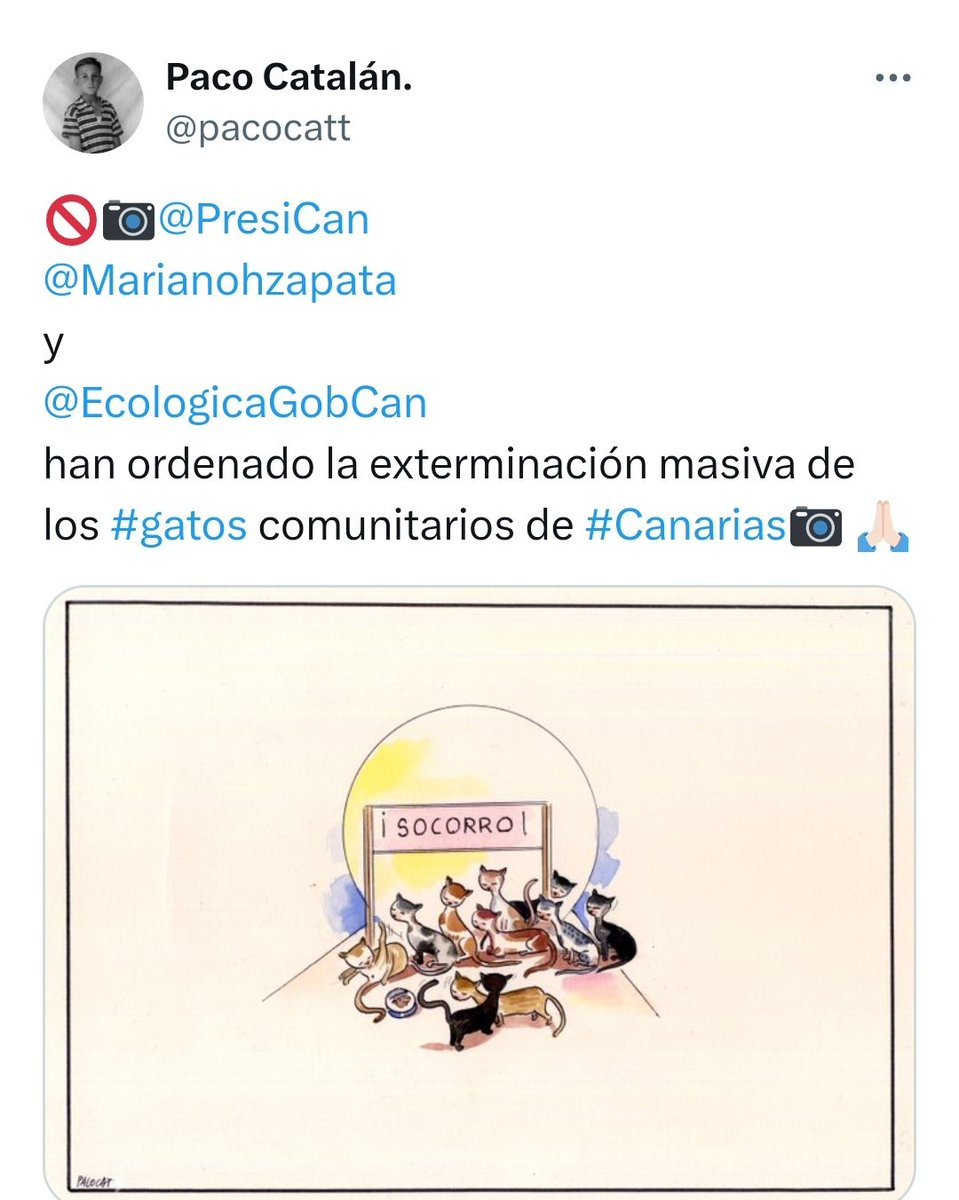 Súmate y difunde la injusticia animal 
Escribe a :
<a href="/EcologicaGobCan/">Transición Ecológica y Energía</a>
<a href="/PresiCan/">Presidencia GobCan</a>
<a href="/Marianohzapata/">Mariano H. Zapata</a>
Para que paralicen la orden de exterminio de los gatos en Canarias 
 #islascanarias #canaryislands #losgatosdecanariasnosetocan