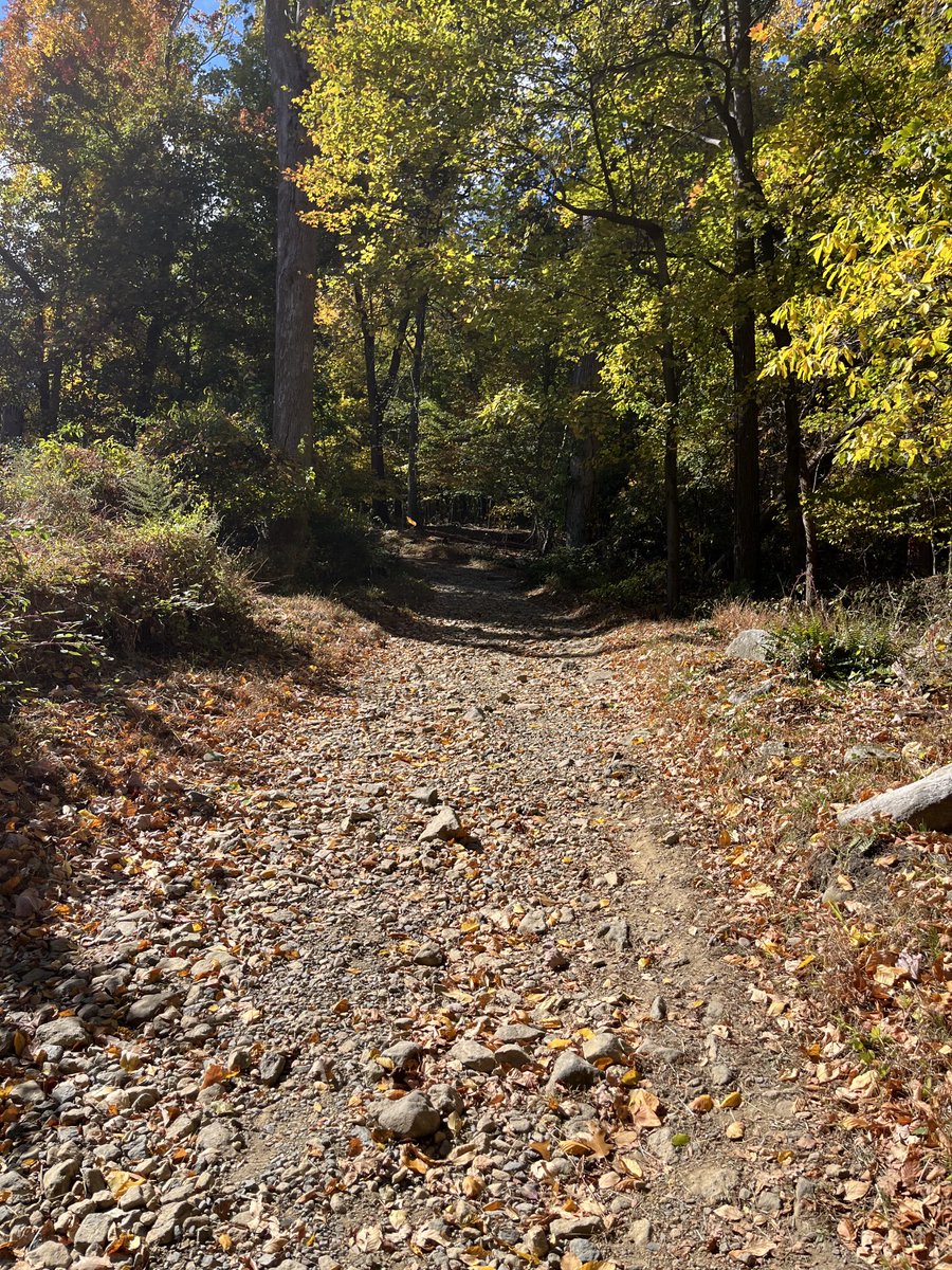 jfgrounds22's tweet photo. Monday struggle run !!!! https://t.co/EyUncbtc23
