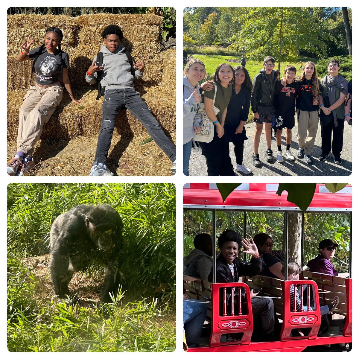 Franklin Middle BCPS (@fms_bcps) on Twitter photo It was a beautiful day for our 8th grade trip to the Maryland Zoo! Overheard from a student was, “This zoo is sigma” which, we’re told, is a good thing. #MarylandZoo <a href="/SchifferB/">Brian Schiffer</a> <a href="/Fschrader1/">Felicia Schrader</a> It was a beautiful day for our 8th grade trip to the Maryland Zoo! Overheard from a student was, “This zoo is sigma” which, we’re told, is a good thing. #MarylandZoo <a href="/SchifferB/">Brian Schiffer</a> <a href="/Fschrader1/">Felicia Schrader</a>