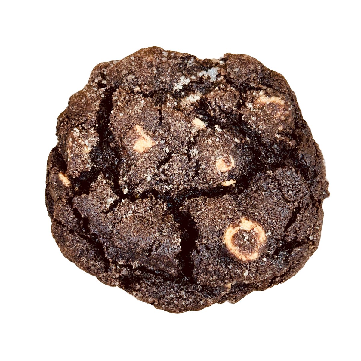 topshelfcookies's tweet image. 🔥🖤 "Our Black &amp;amp; Gold cookie is the ultimate fan-fuel! Rich dark chocolate paired with creamy peanut butter chips—this treat honors Boston’s 2011 champions in every chewy bite. Sweet success is just a cookie away! 💛🍪🏒 #FanFavorite #ChampionshipCooki... l.muz.kr/ARo