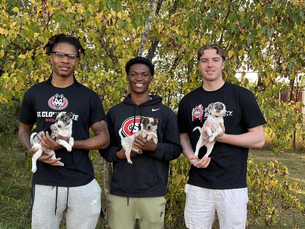 St. Cloud State Men's Basketball tweet media