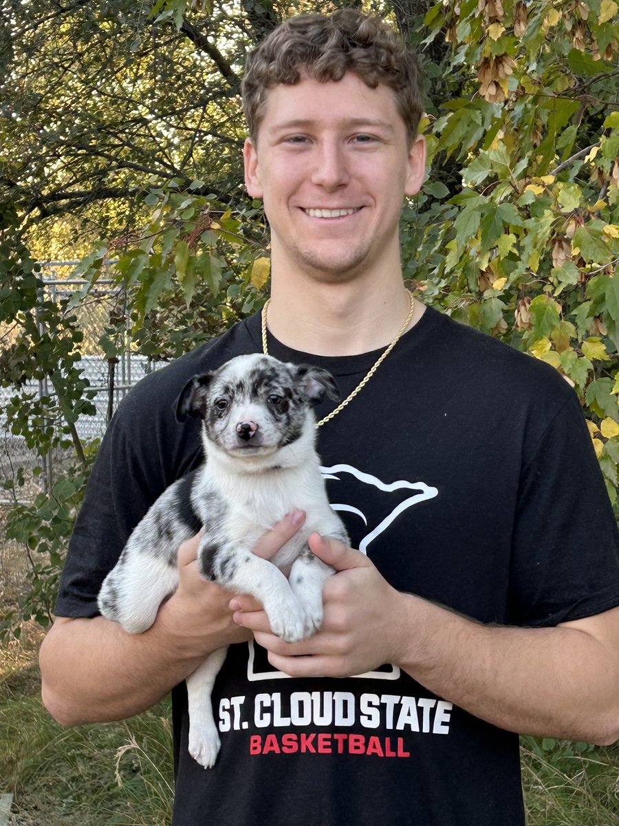 St. Cloud State Men's Basketball tweet media