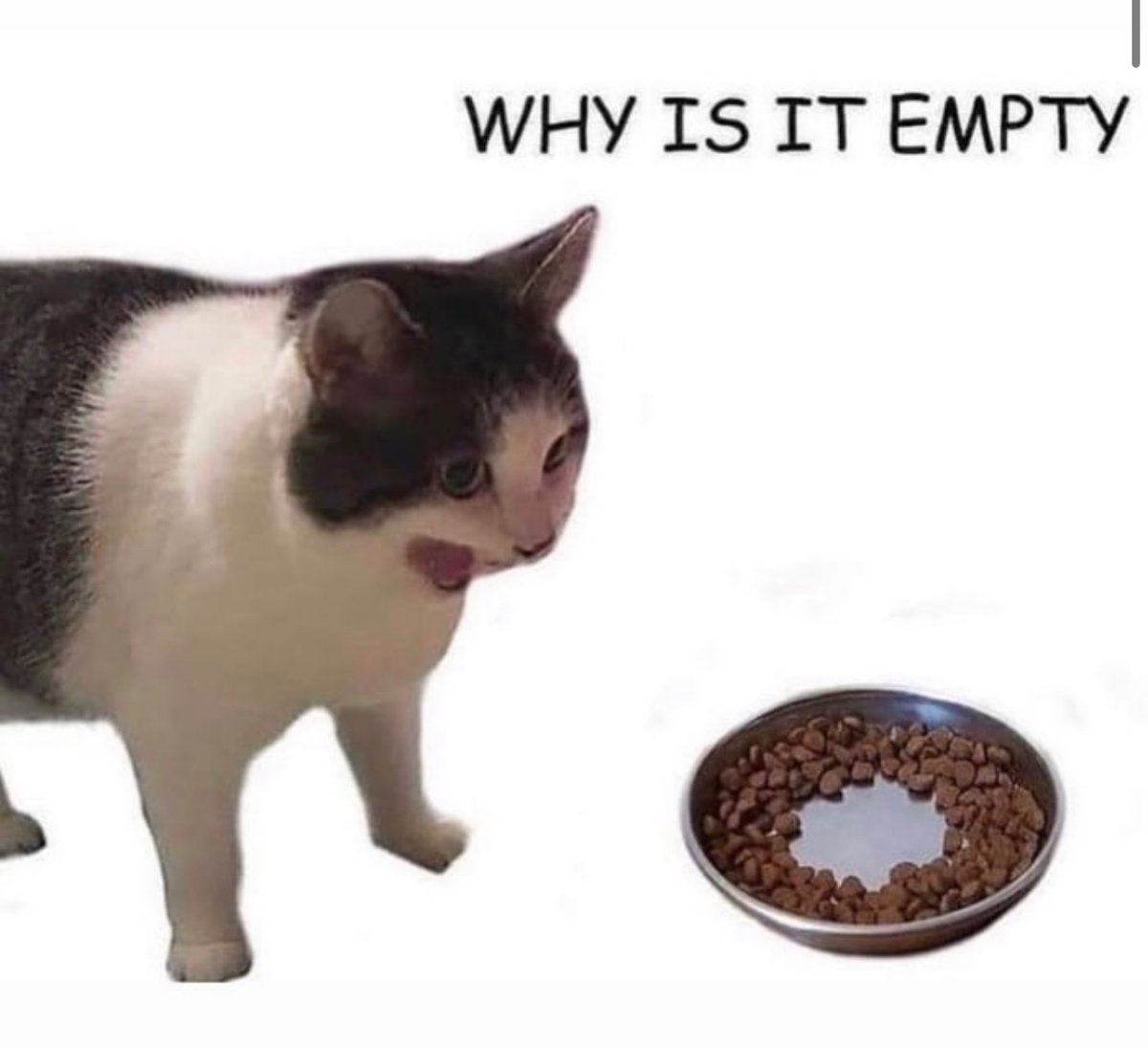 wwxwashere's tweet image. logging on ao3, a site with millions of fics, but not finding the exact thing i’m in the mood to read: