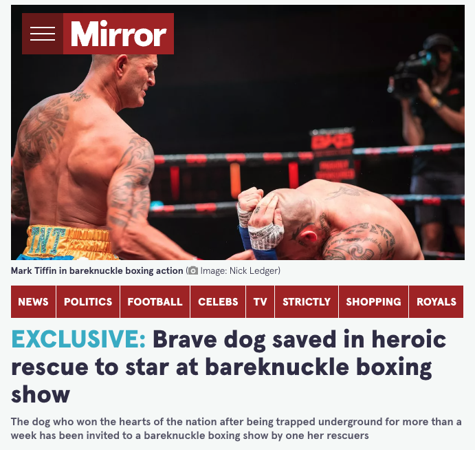 bkbbareknuckle's tweet photo. The dog that Mark Tiffin help save made an appearance in the Trigon 🙌

#BYB32 #BYBExtreme #BareKnuckle https://t.co/UmmFGR7WWe