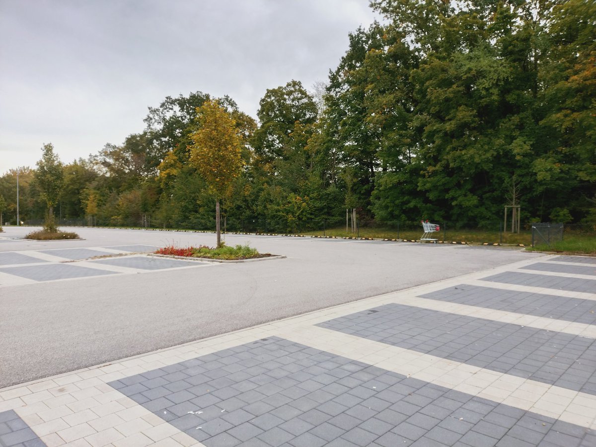 Gerade im Herbst zieht sich das introvertierte Wagerl gerne mal aus der lärmenden Umtriebigkeit und pflegt stille Einkehr in angrenzender Natur. 
<a href="/Wagerlkunst/">Einkaufswagenkunst</a>