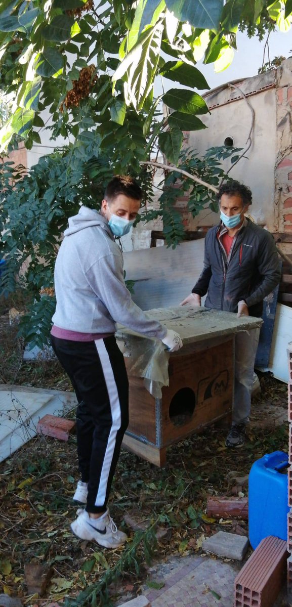 En <a href="/ColoniaGats/">ColoniaGatsLaPlata</a>  estamos muy tristes porque ha fallecido 1 persona buena, Jorge. 
Desde hacía años nos ha ayudado a hacer la vida más fácil a los #gatos de la colonia y a las personas voluntarias.
Gracias Jorge por todo lo que has hecho por nuestra #coloniagatos.
Descansa en paz.