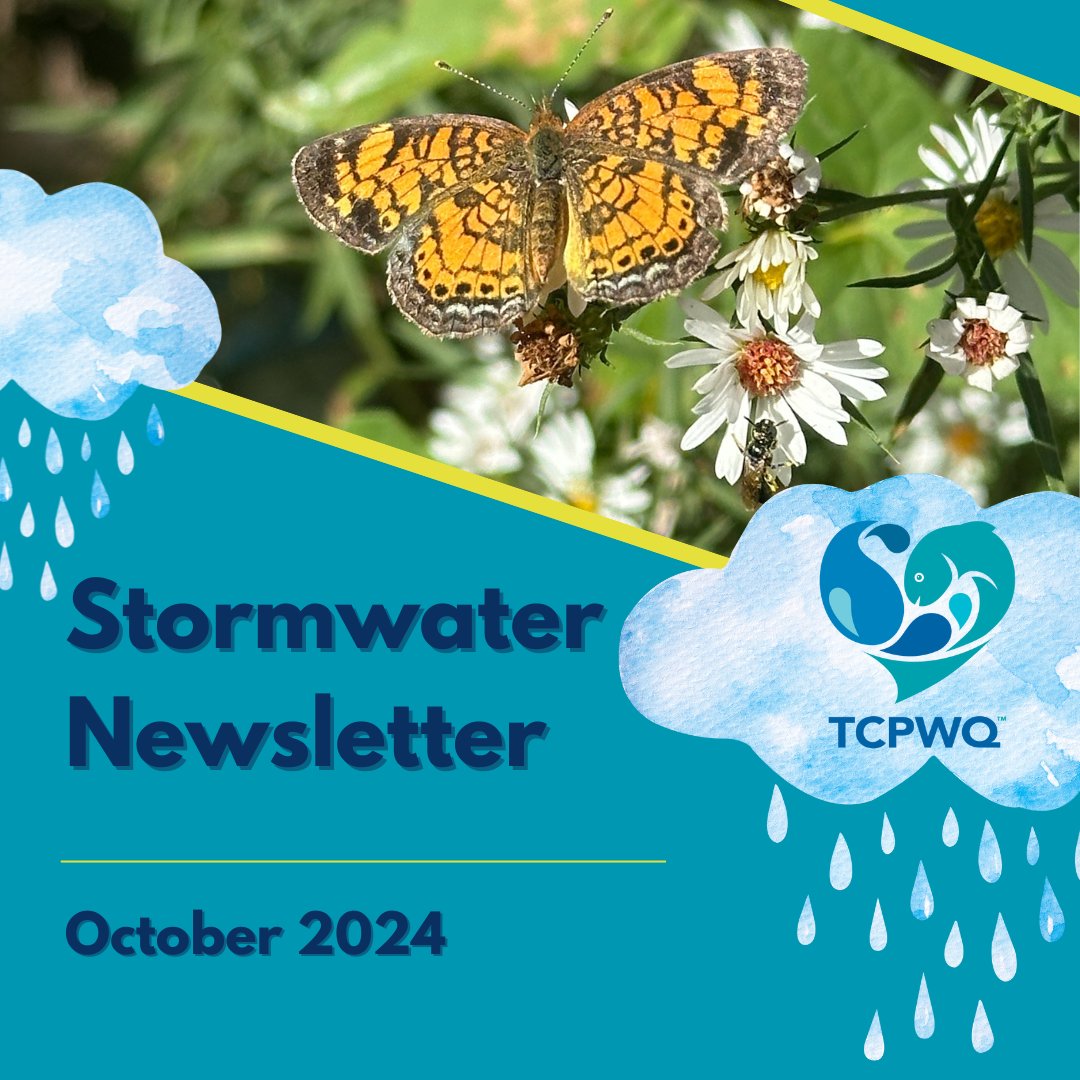 The October stormwater newsletter is up! Take a look to learn about goldenrod, how to use the leaves to your benefit, and upcoming events! tippecanoe.in.gov/DocumentCenter…