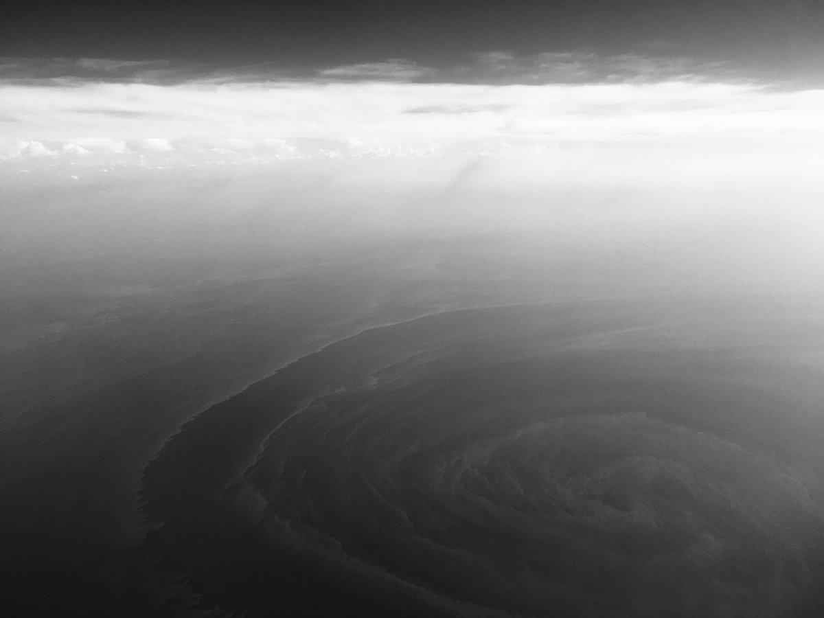 Anna Talvi tweet media